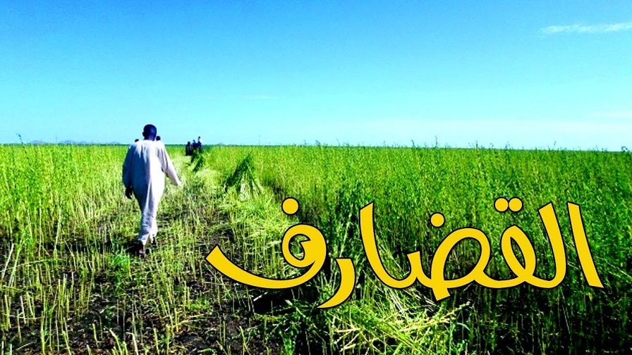 مكوكية البوادرة بالقضارف تؤكد وقوفها مع القوات المسلحة