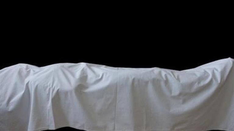 عمود كهرباء يكتب نهاية مسجل خطر في العياط