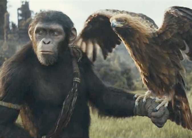 Kingdom of the Planet of the Apes يحقق إيرادات متوسطة بالسينمات المصرية