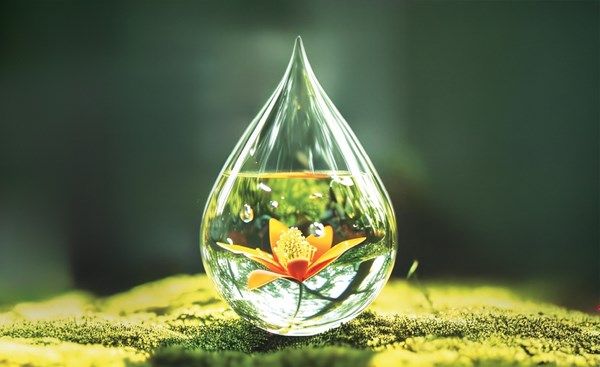 الاستدامة.. ركيزة مسيرة التنمية الشاملة في أبوظبي