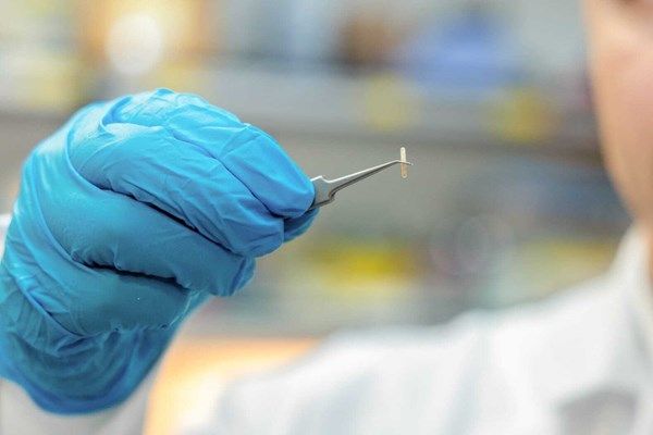 أبوظبي: باحثون يطورون جهازاً جديداً لعلاج الألم المزمن واضطرابات الحركة