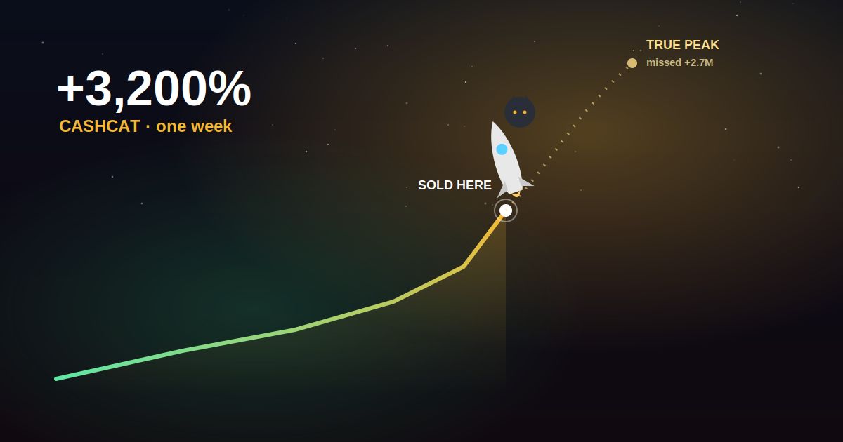 من 838 دولار إلى مليون: محظوظ عملة CASHCAT