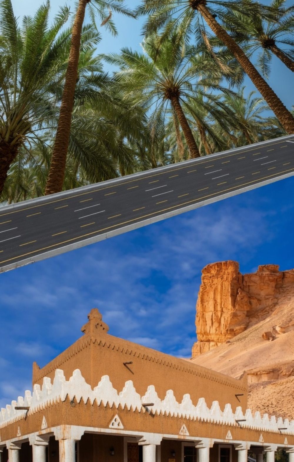 أخبار من السعودية.. 4 مسارات رئيسية بين الرياض والقصيم تعزز الوصول إلى الوجهات السياحية والزراعية