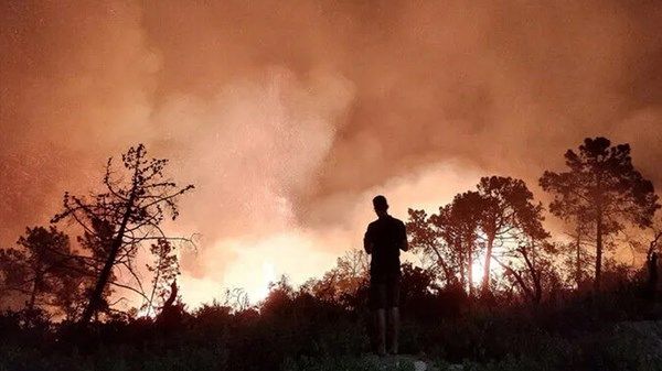 حرائق غابات في سليانة التونسية تتسبب في إجلاء 100 شخص