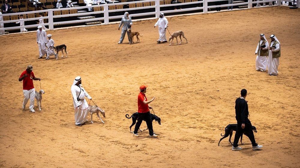 طلبة مدارس أبوظبي يستكشفون الموروث الإماراتي بمعرض أبوظبي للصيد