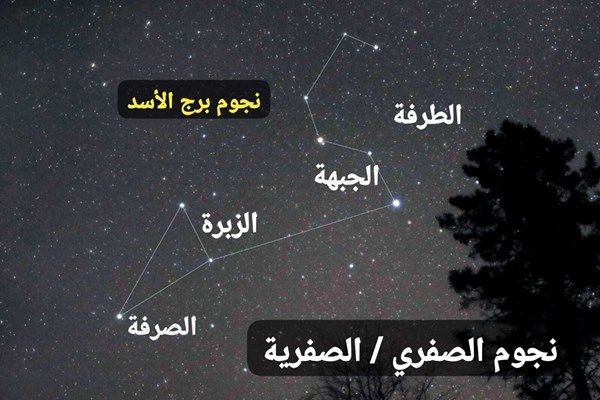 "الإمارات للفلك": موسم الصفرية يبدأ 6 سبتمبر