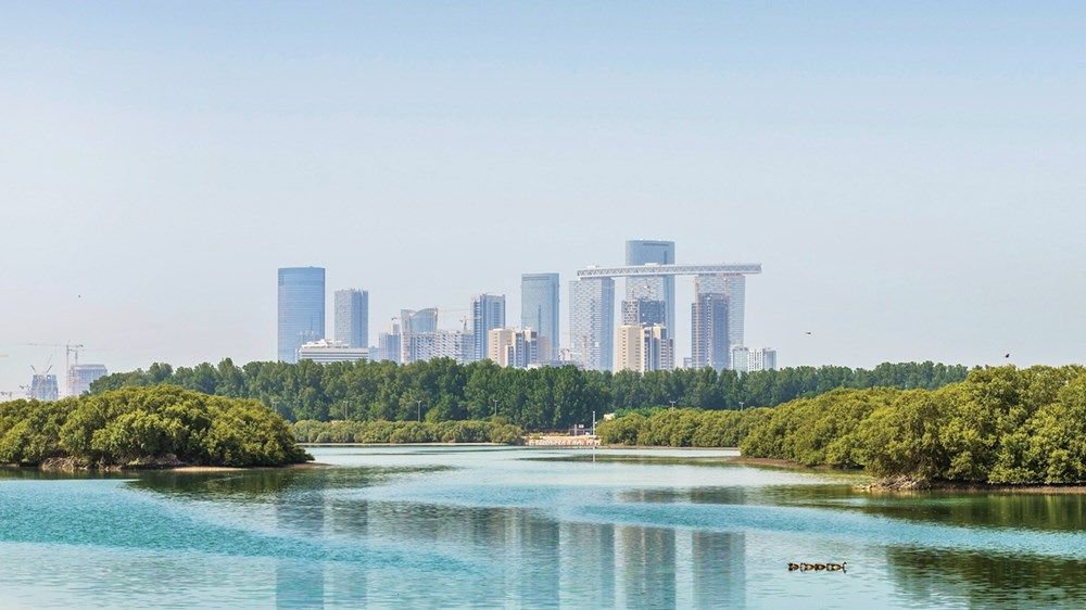 المرأة الإماراتية.. كفاءة وطنية تصون البيئة وتدعم الاستدامة
