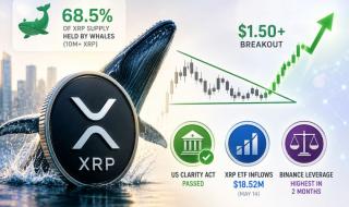 حيتان XRP تسيطر على 70% من العرض: هل يحضر سعر العملة لانطلاقة قوية؟